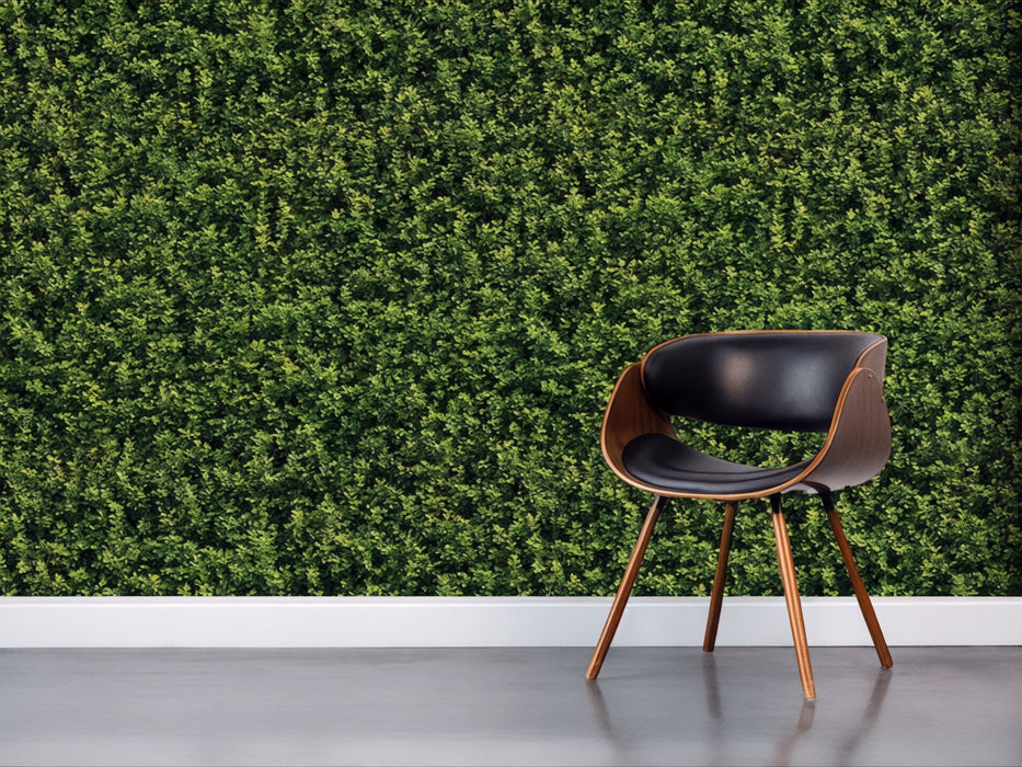Vinilo de Texturas con Efecto Botánico "Muro Verde Clásico"