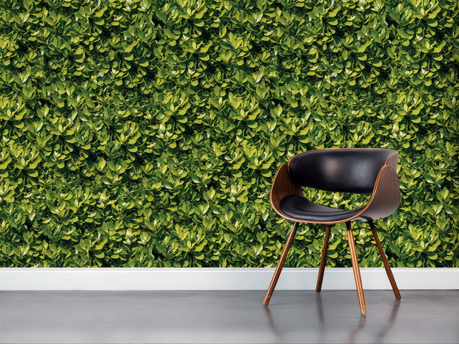 Vinilo de Texturas con Efecto Botánico "Bosque Frondoso"