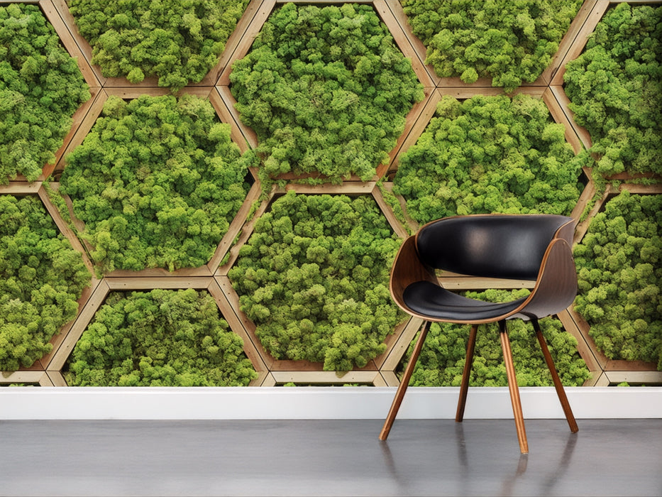 Vinilo de Texturas con Efecto Botánico "Naturaleza Geométrica"