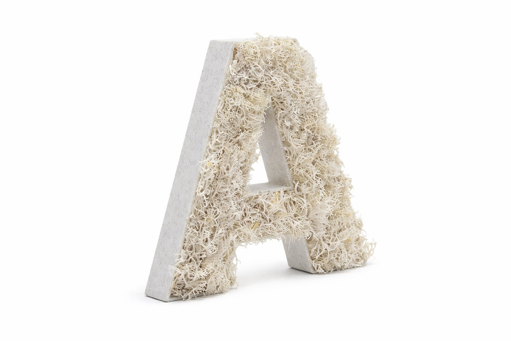 Pack de Letras "CAFÉ" de Musgo