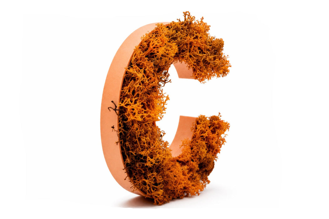 Pack de Letras "CAFÉ" de Musgo