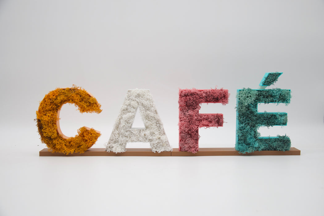 Pack de Letras "CAFÉ" de Musgo