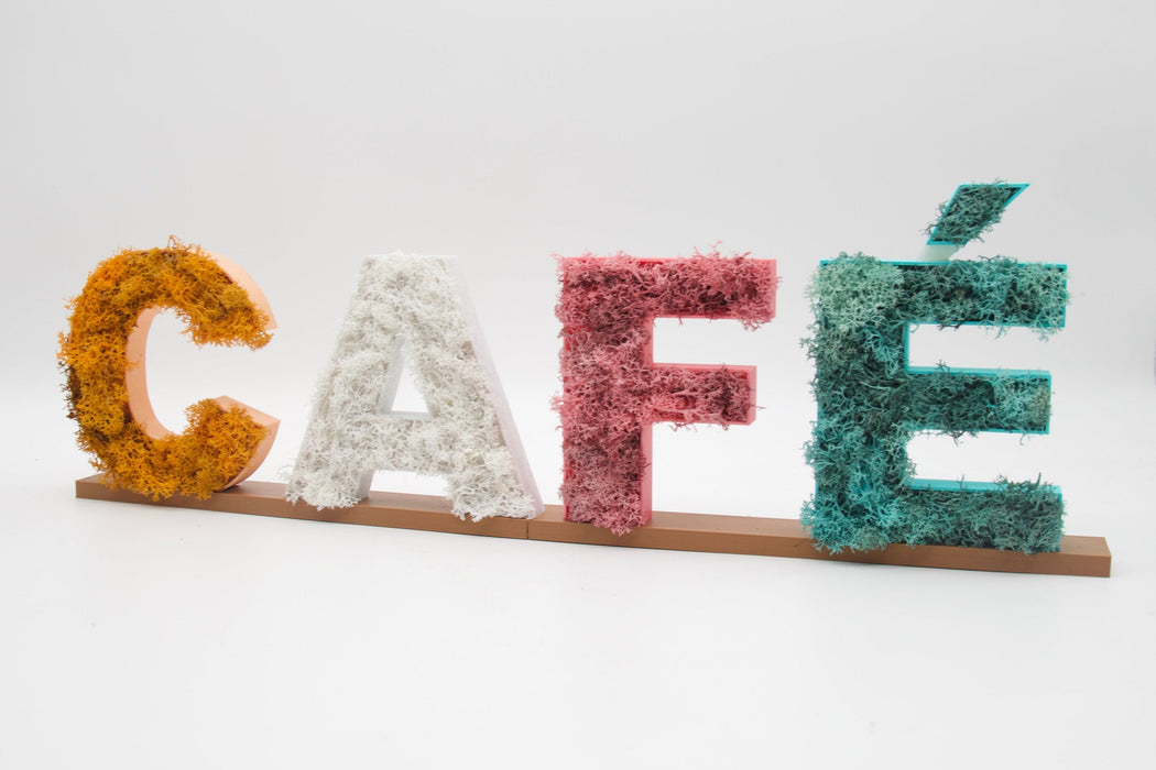 Pack de Letras "CAFÉ" de Musgo