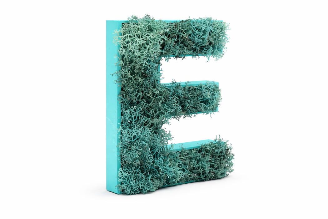 Pack de Letras "CAFÉ" de Musgo